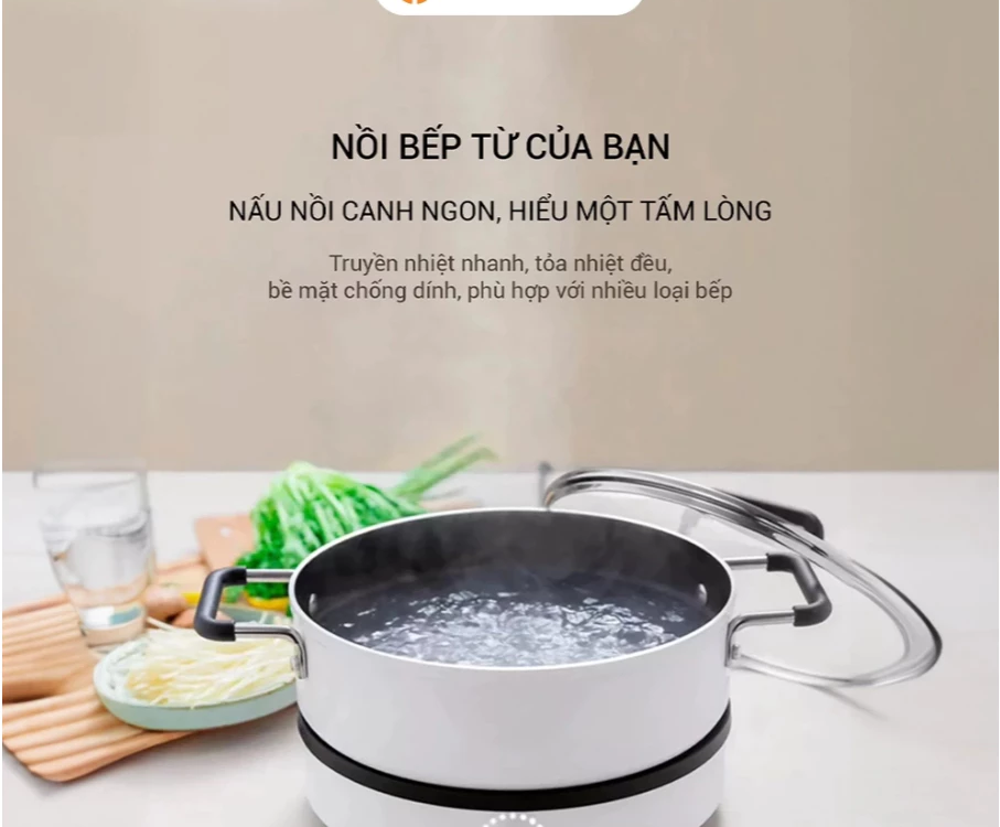 Bếp Từ Mini Lumias LK24-220B: Giải Pháp Nấu Nướng Tôi Ưu Việt Cho Gia Đình Nhỏ