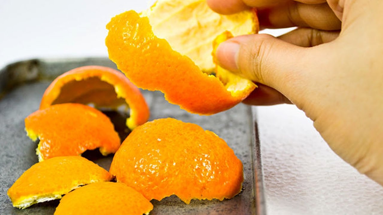 Phương Pháp An Toàn Để Đuổi Và Diệt Muỗi Hiệu Quả 7 Đuổi muỗi bằng vỏ cam, quýt